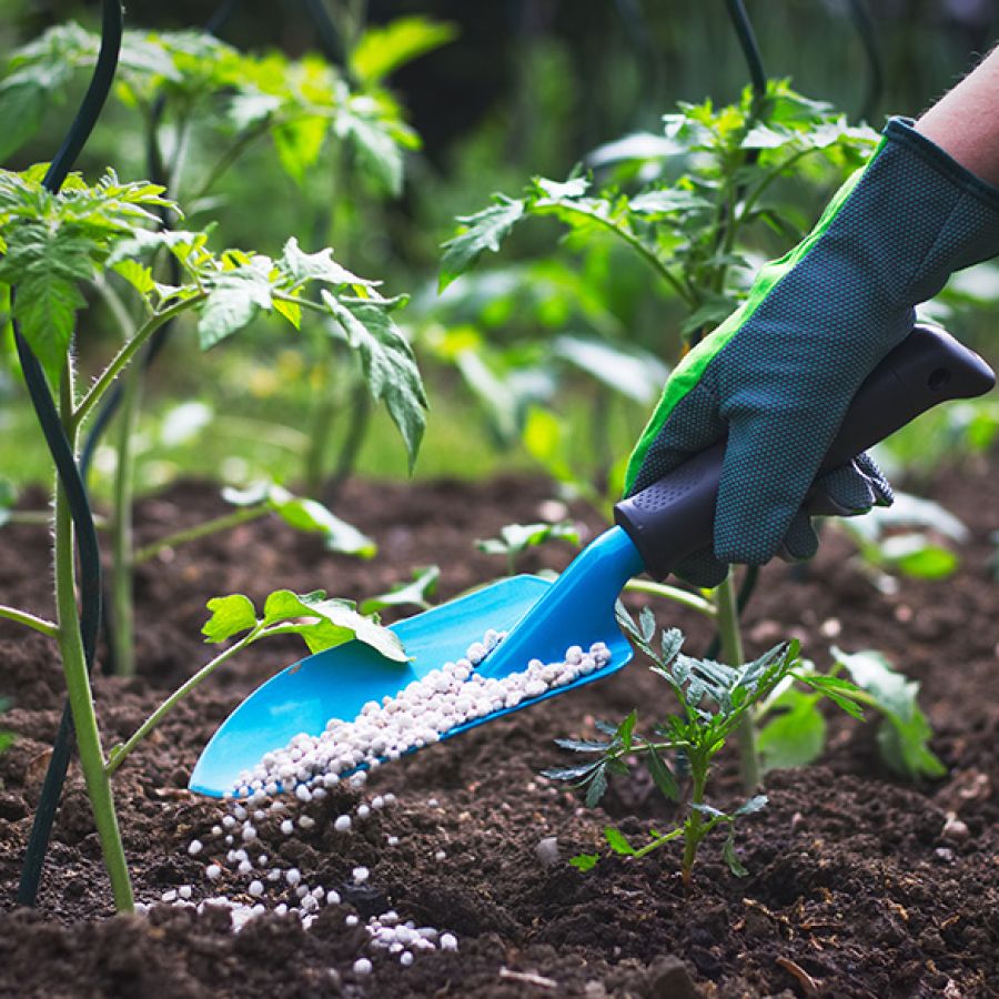 Fertilizzazione L’ARMONIA IN GIARDINO DITTA BERIACH FLAVIO a Cividale del Friuli
