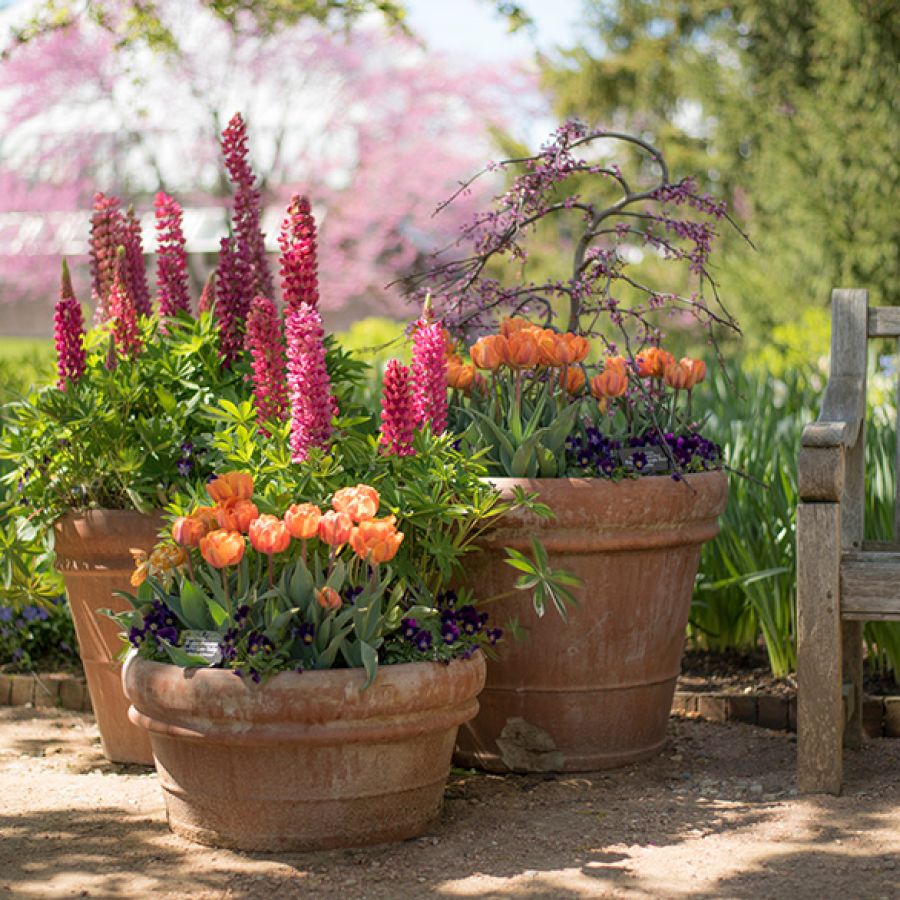 Composizioni con vasi, fornitura di vasi per arredamento L’ARMONIA IN GIARDINO DITTA BERIACH FLAVIO a Cividale del Friuli